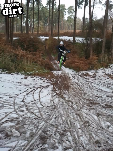 Lime Burner Trail - Thetford Forest