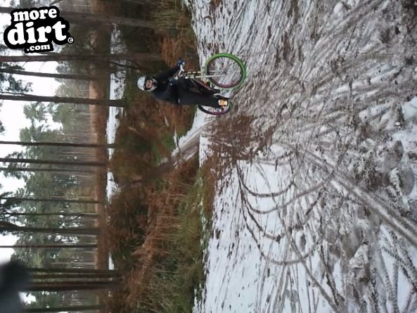 Lime Burner Trail - Thetford Forest