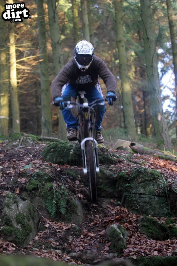 Session at local DH trails.