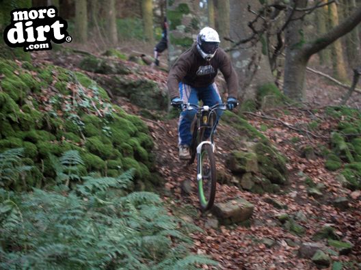 Session at local DH trails.