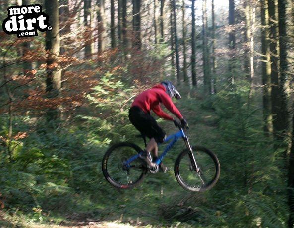 Winter Training at local trails.