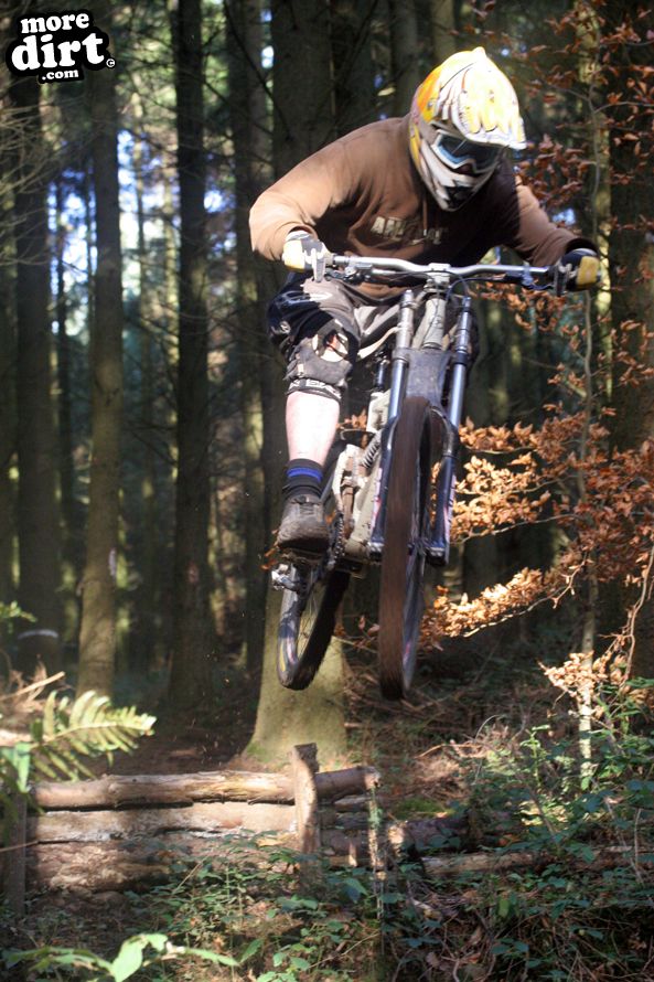 DH session at local trails.