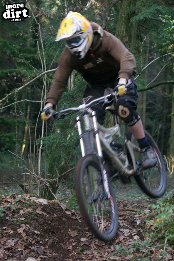 DH session at local trails.
