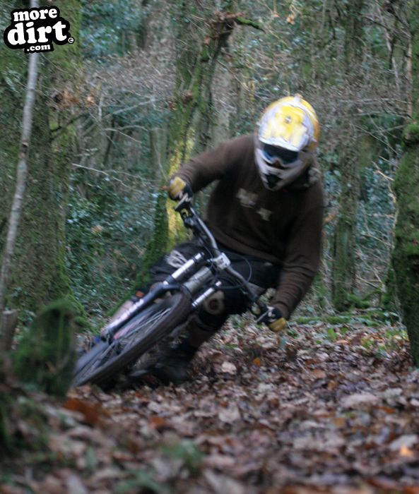 DH session at local trails.