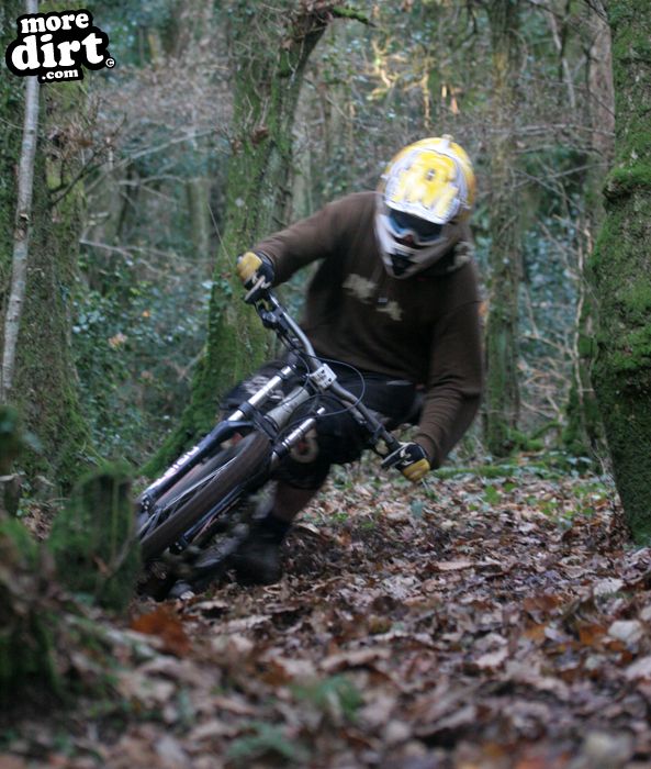 DH session at local trails.