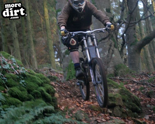 DH session at local trails.