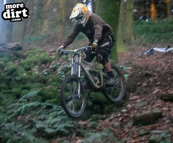 DH session at local trails.