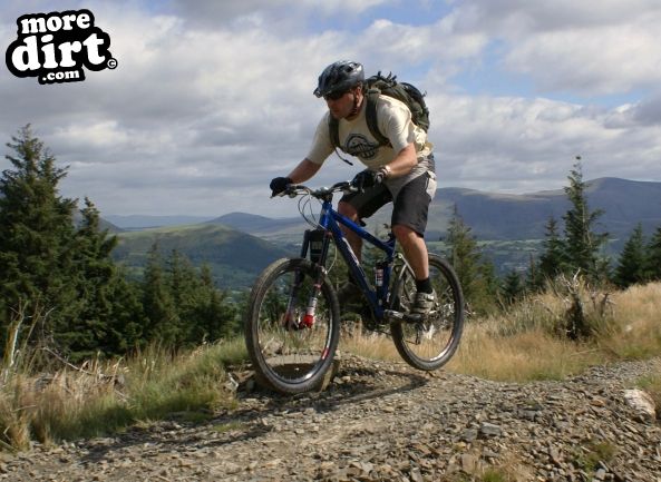Altura Trail - Whinlatter Forest