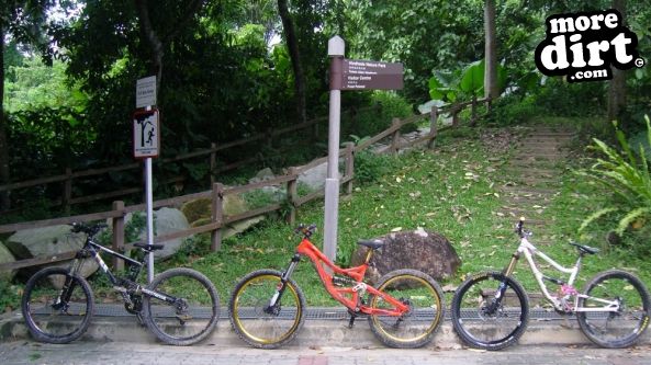 Bukit Timah Trail