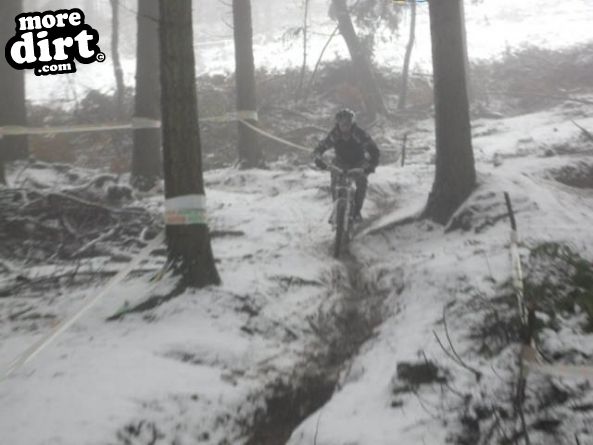 Rogate Downhill Mountain Bike Park