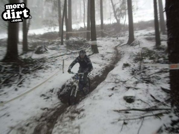 Rogate Downhill Mountain Bike Park