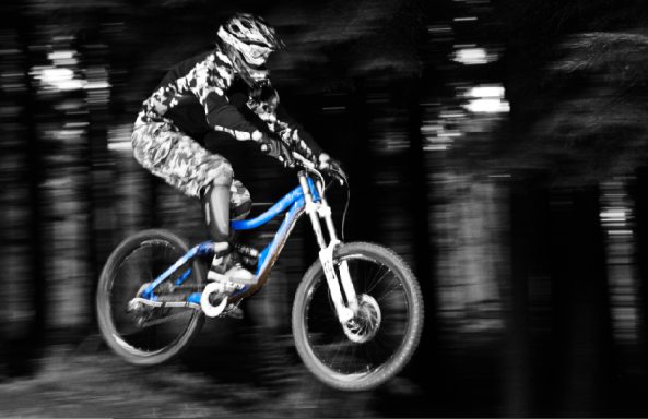 Downhill Trails - Forest of Dean