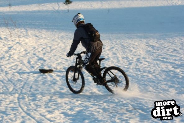 Stornoway Castle Grounds