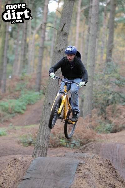 Chicksands Bike Park