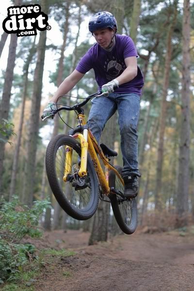 Chicksands Bike Park