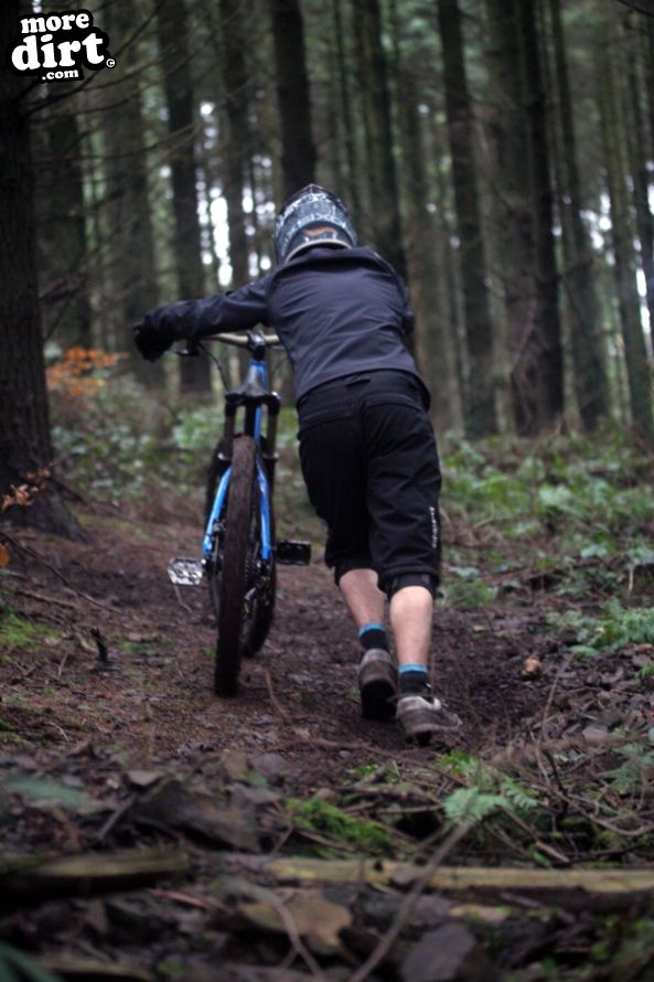 First 2011 DH session at our local trails.