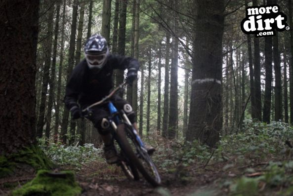 First 2011 DH session at our local trails.