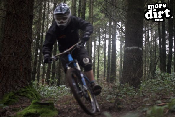 First 2011 DH session at our local trails.