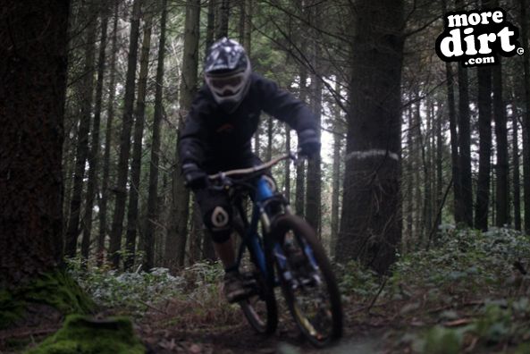 First 2011 DH session at our local trails.