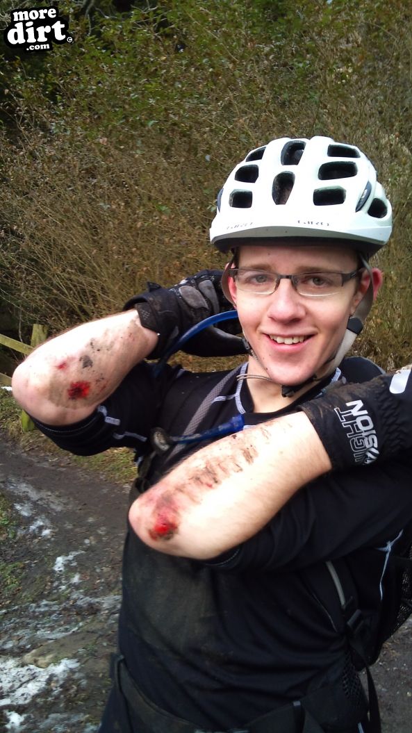 Hamsterley Forest Mountain Bike Trails