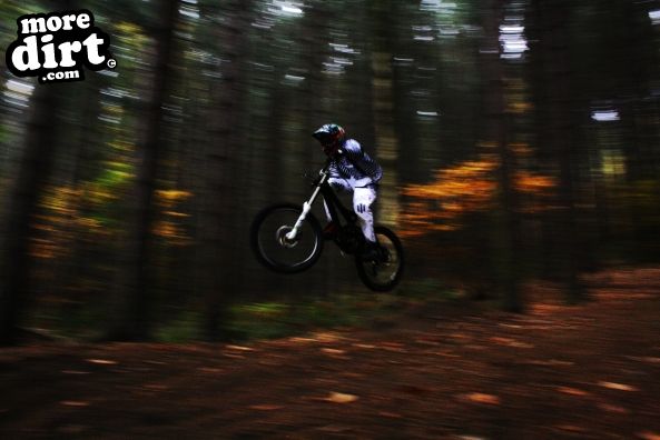 Wharncliffe Woods - DH Trails