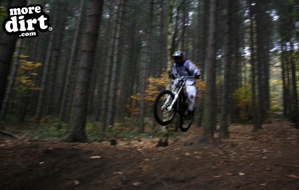 Wharncliffe Woods - DH Trails