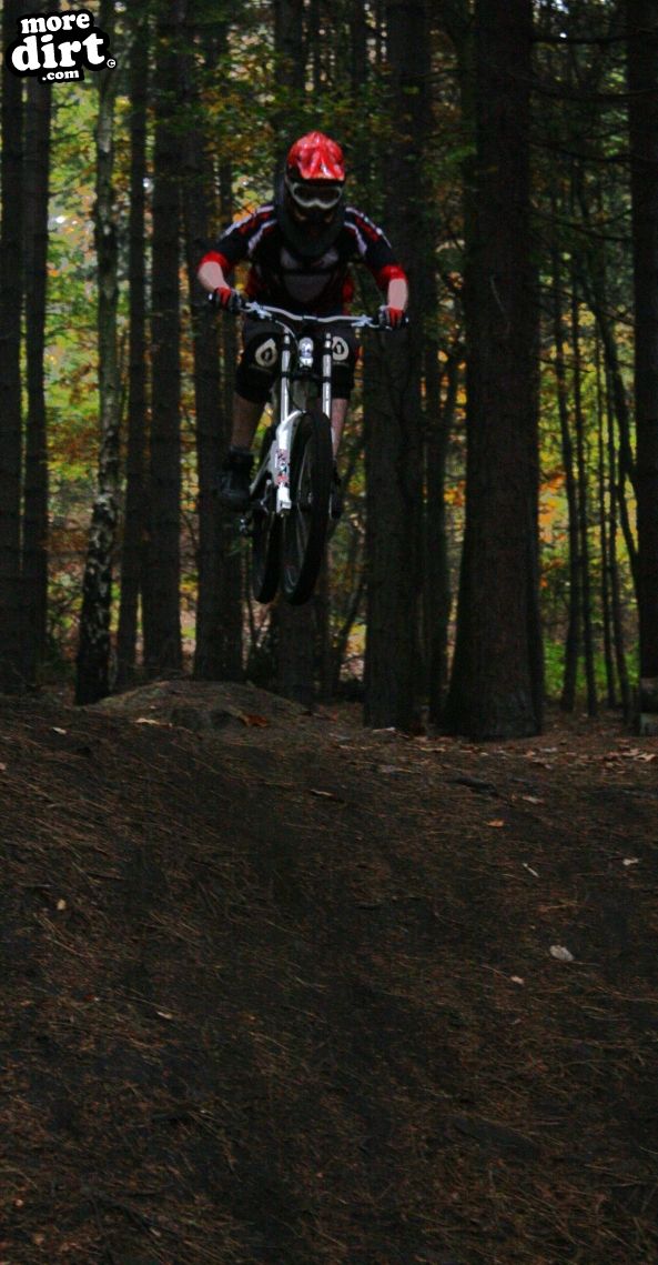 Wharncliffe Woods - DH Trails