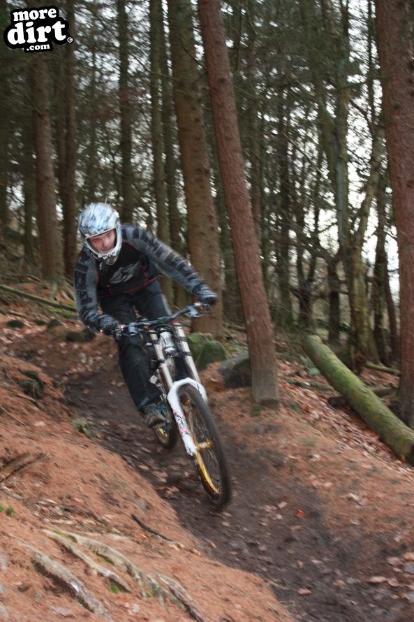 Downhill Trails - Forest of Dean