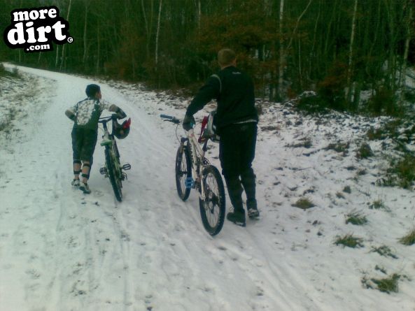 Powerline Trail - Chopwell