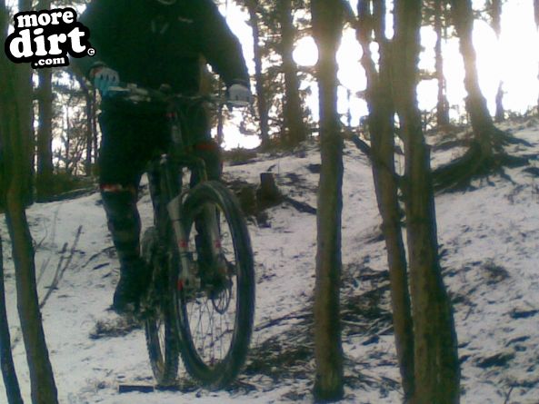 Outside Line Trail - Chopwell
