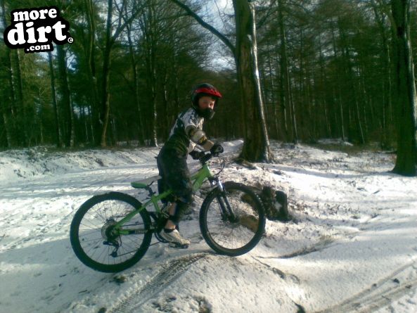 Outside Line Trail - Chopwell