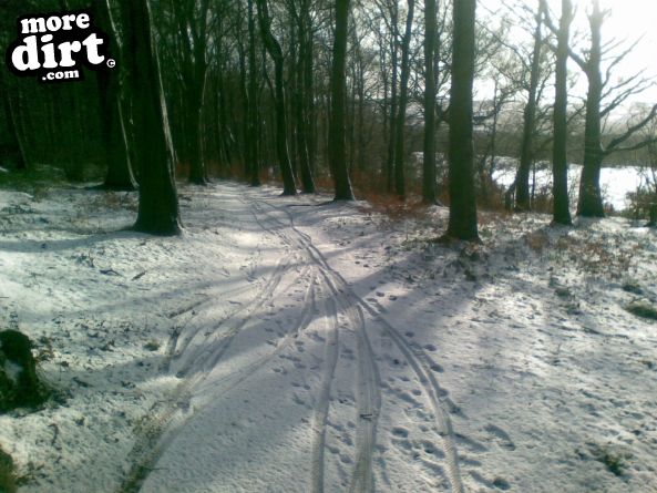 Outside Line Trail - Chopwell