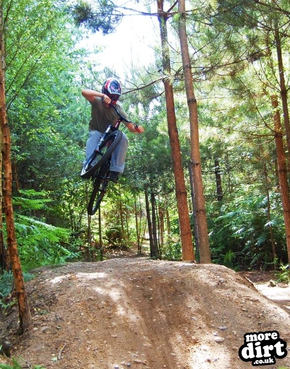 Swinley Forest Mountain Bike Centre