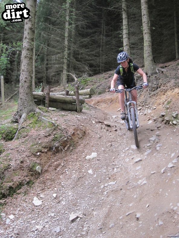 Red Trail - Coed Llandegla Forest