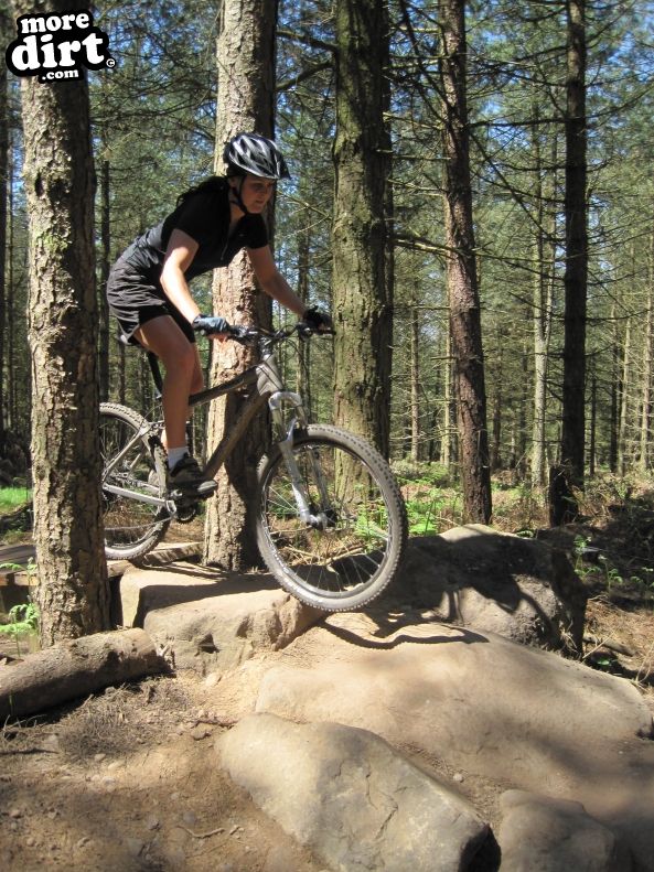 Monkey Trail - Cannock Chase