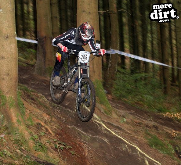 Downhill Trails - Forest of Dean