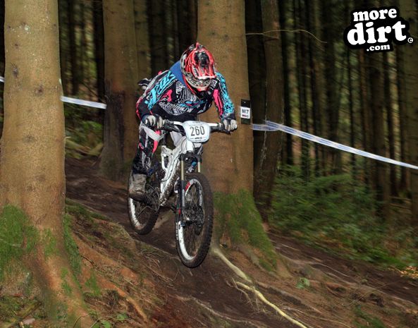 Downhill Trails - Forest of Dean