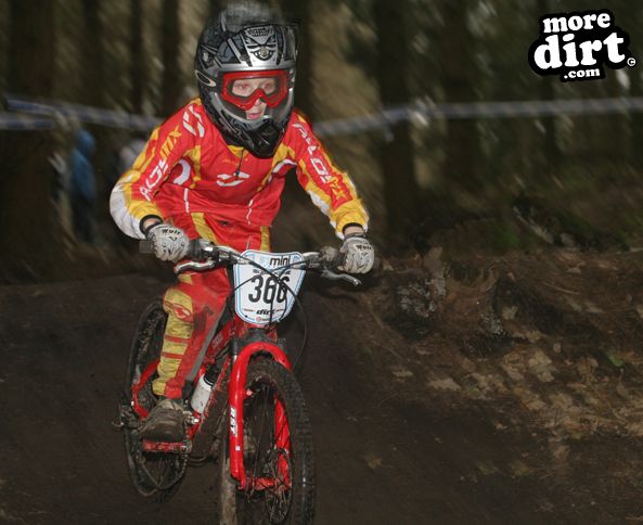 Downhill Trails - Forest of Dean