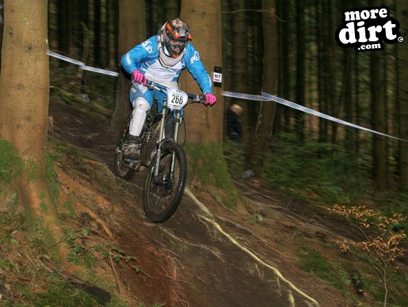 Downhill Trails - Forest of Dean
