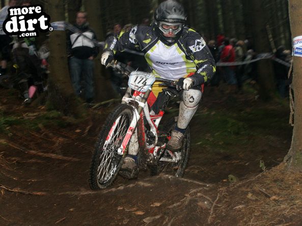 Downhill Trails - Forest of Dean