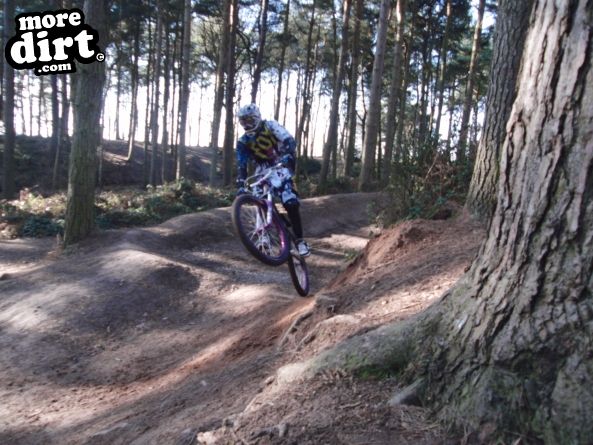 Delamere Forest Mountain Bike Trails