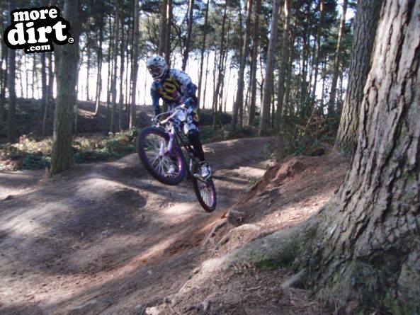 Delamere Forest Mountain Bike Trails