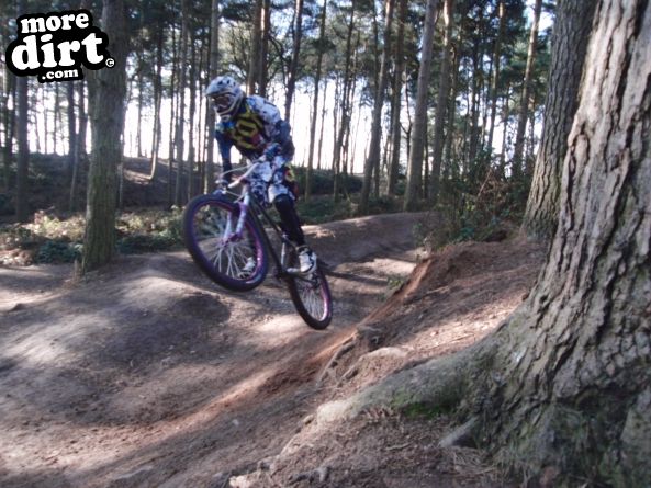 Delamere Forest Mountain Bike Trails