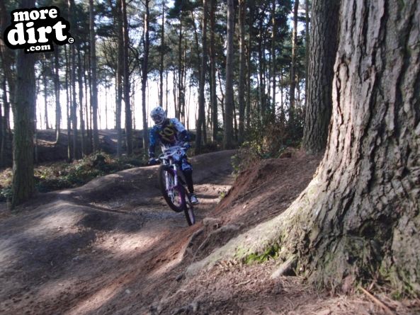 Delamere Forest Mountain Bike Trails