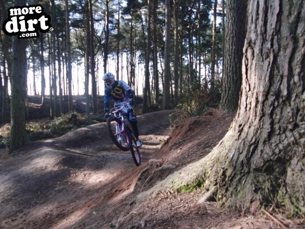 Delamere Forest Mountain Bike Trails