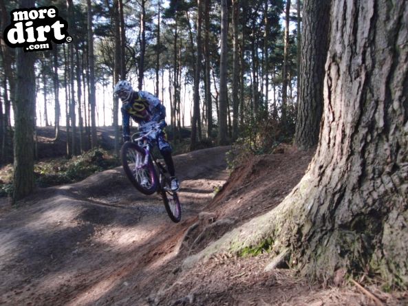 Delamere Forest Mountain Bike Trails