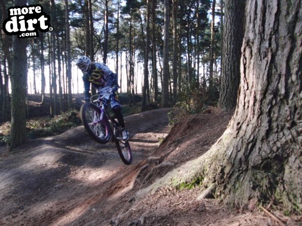 Delamere Forest Mountain Bike Trails