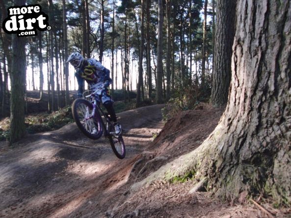 Delamere Forest Mountain Bike Trails