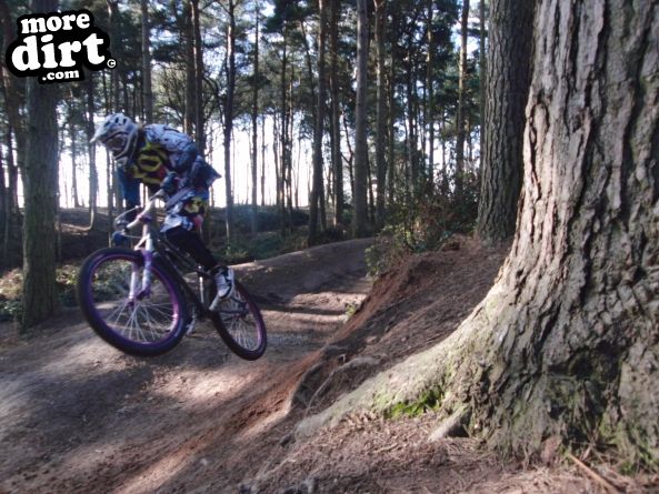 Delamere Forest Mountain Bike Trails