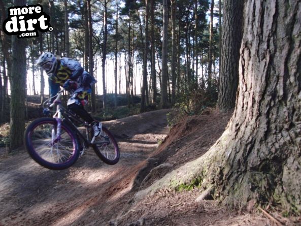 Delamere Forest Mountain Bike Trails